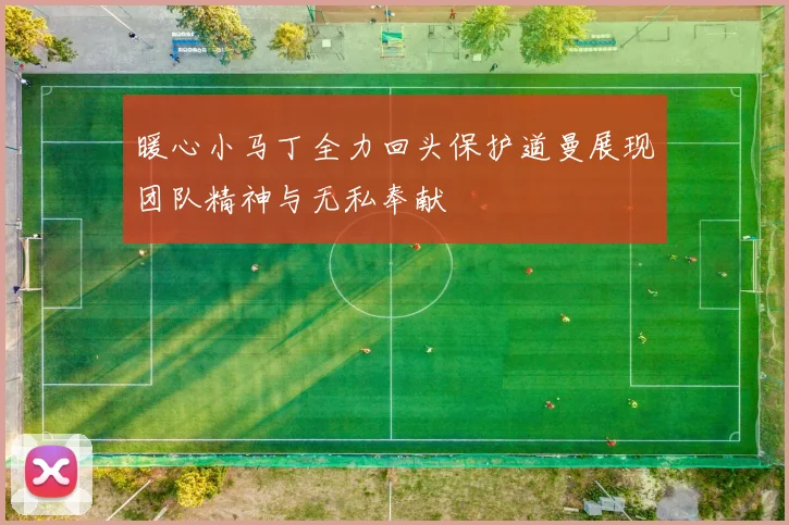 暖心小马丁全力回头保护道曼展现团队精神与无私奉献
