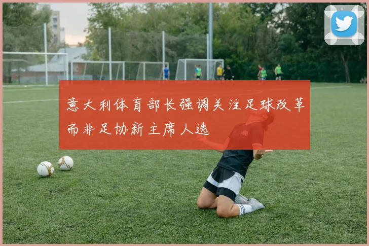 意大利体育部长强调关注足球改革而非足协新主席人选